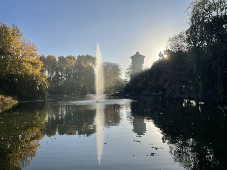 Lichtmoment #2 – Go with the Flow