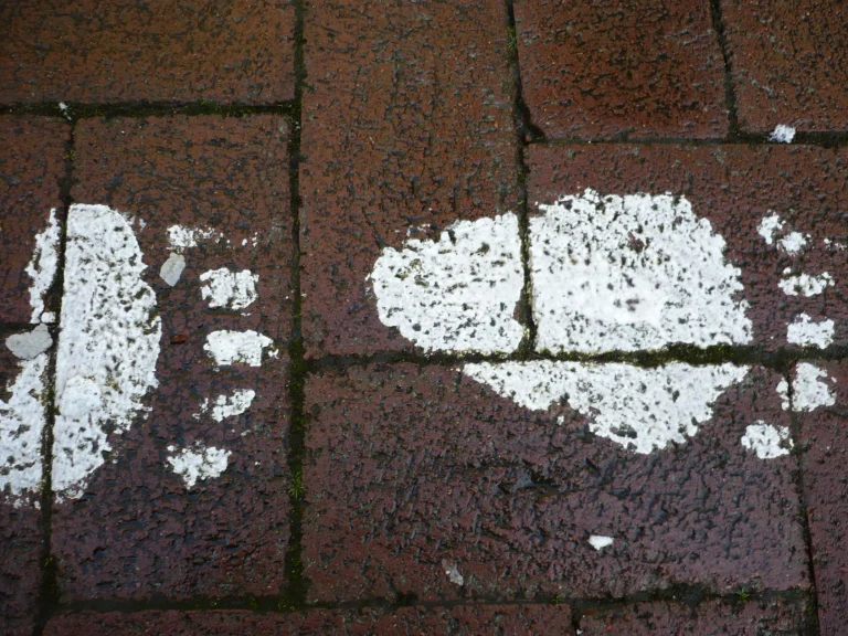 Ich gebe dir einen Kompass – die Richtung bestimmst du selbst.